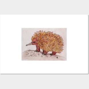 Echidna Posters and Art